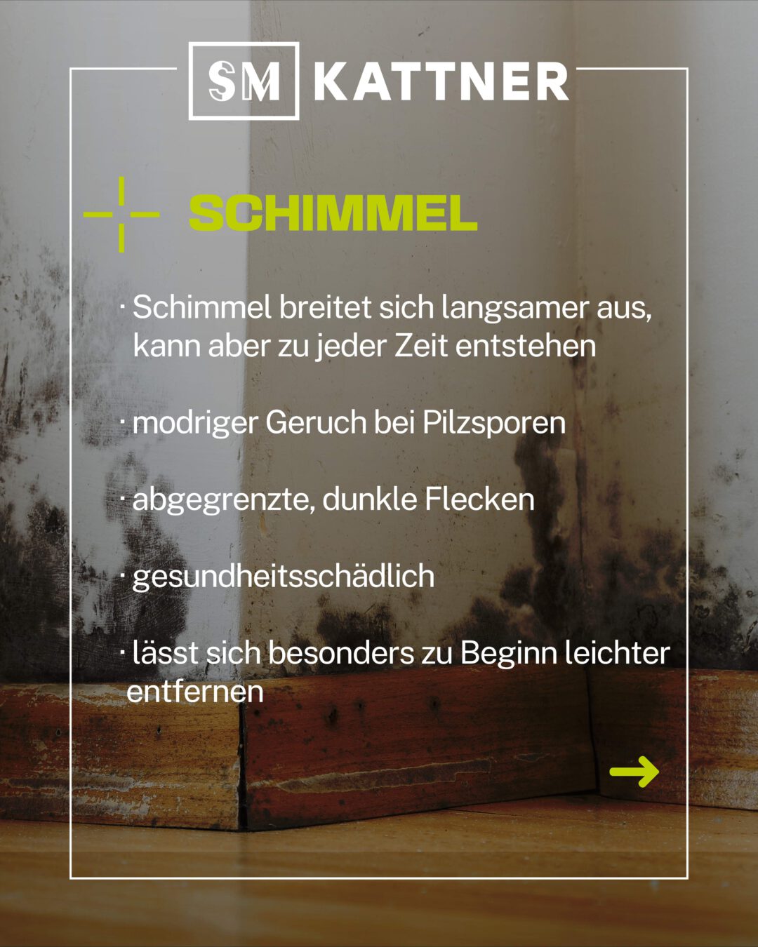 Schimmel
- langsame Ausbreitung
- kann jederzeit entstehen
- Erscheinungsbild: modriger Geruch, meist agegrenzte, unkle Flecken
- geundheitsschädigend
- besonders in der Anfangsphase lässt sic Schimmel recht leicht entfernen
