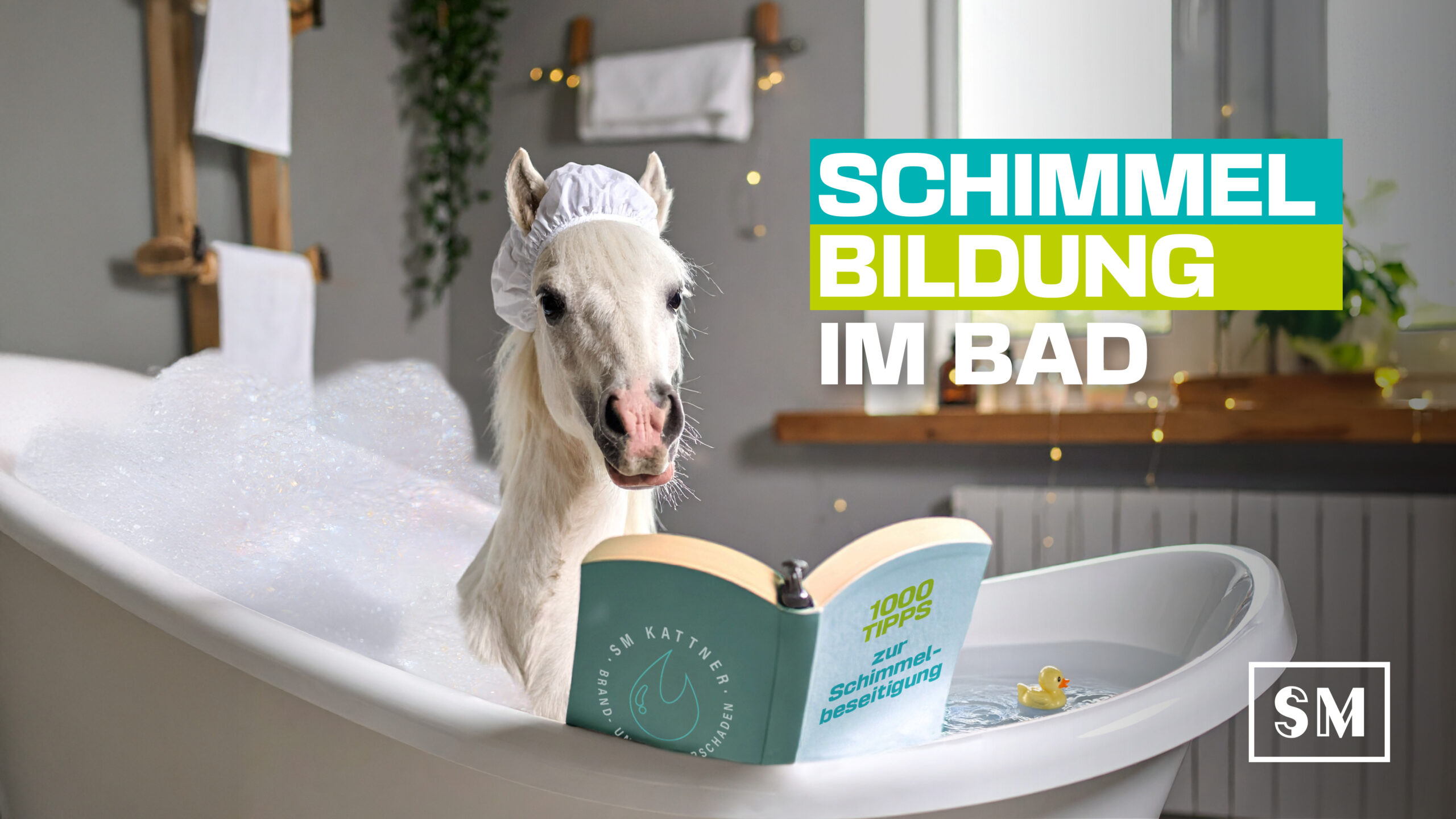 Ein zweideutiges Bild; ein weißes Pferd in einer gefüllten Badewanne mit Badehaube auf dem Kopf und einem fiktiven SM kattner Buch in den "Hufen" mit dem Titel "101 Tipps zur Schimmelbeseitigung"