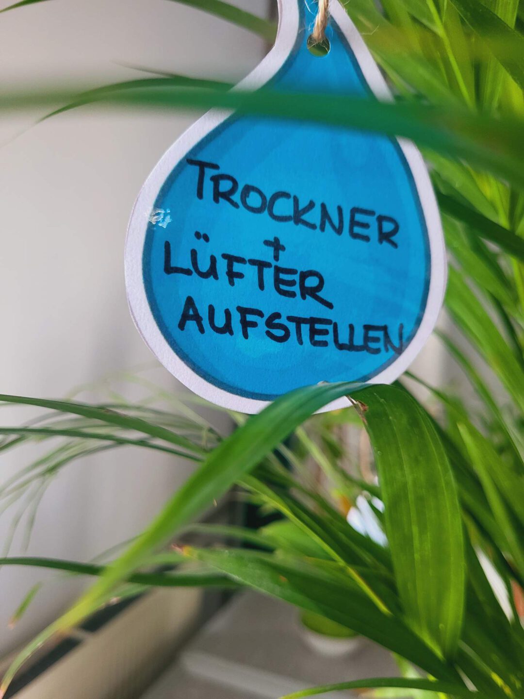 Trockner + Lüfter aufstellen