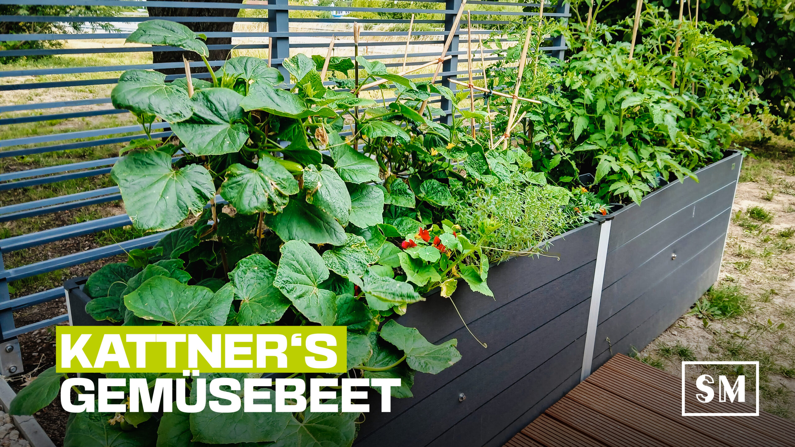 Kattners Gemüsehochbeet im garten der Firma