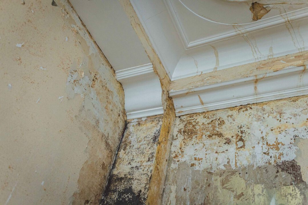 Detailaufnahme der wasserunterlaufenen Stuckdecken