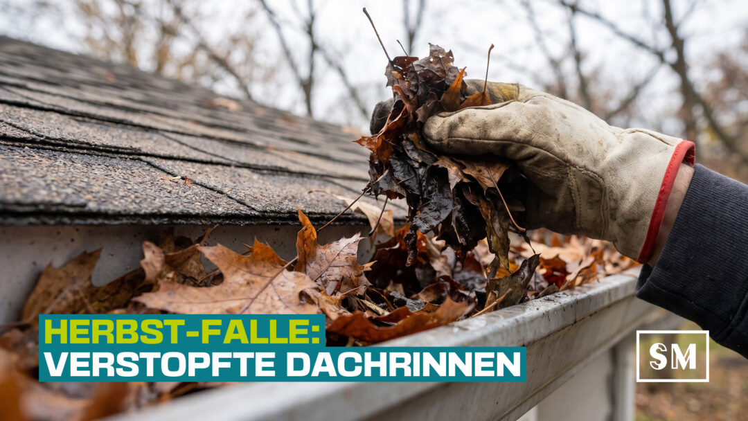 Eine Hand mit Arbeitshandschuh holt ein feuchtes Bündel herbstliches Laub aus einer verstopften Dachrinne. Darüber steht der Text „Herbst-Falle: Verstopfte Dachrinnen“.