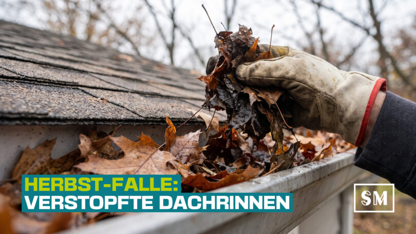 Eine Hand mit Arbeitshandschuh holt ein feuchtes Bündel herbstliches Laub aus einer verstopften Dachrinne. Darüber steht der Text „Herbst-Falle: Verstopfte Dachrinnen“.